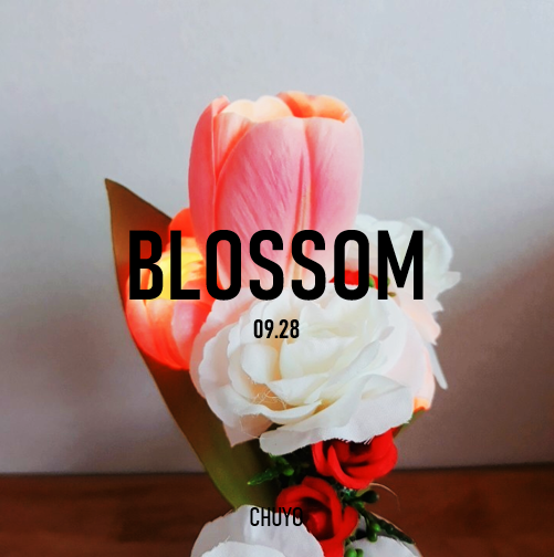 BLOSSOM C.png