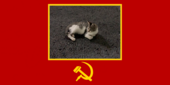 고양이 소비에트 사회주의 공화국의 국기.png