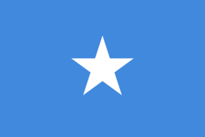 소말리아 공화국의 국기.png