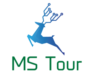 MS Tour.png