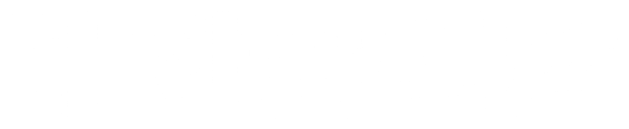 대한공산당 흰색 로고타입.png