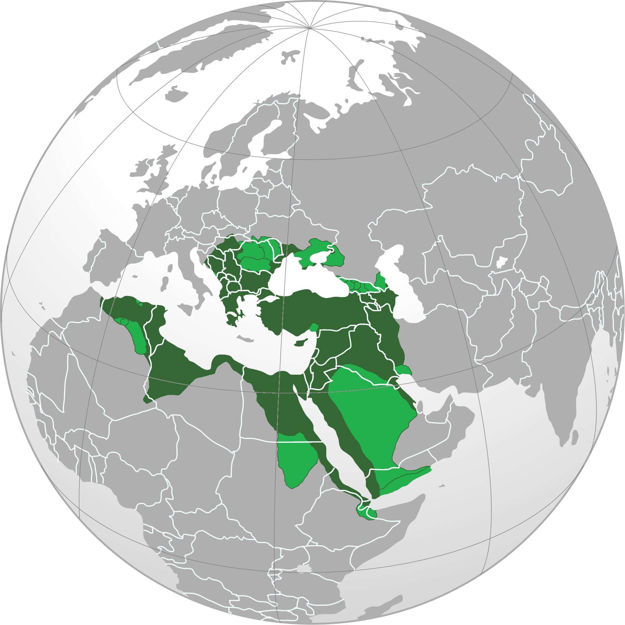 width=100%