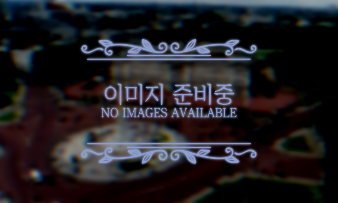 군주제 타협안-도시 이미지 준비중.png