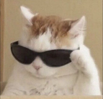 최레몬.jpg