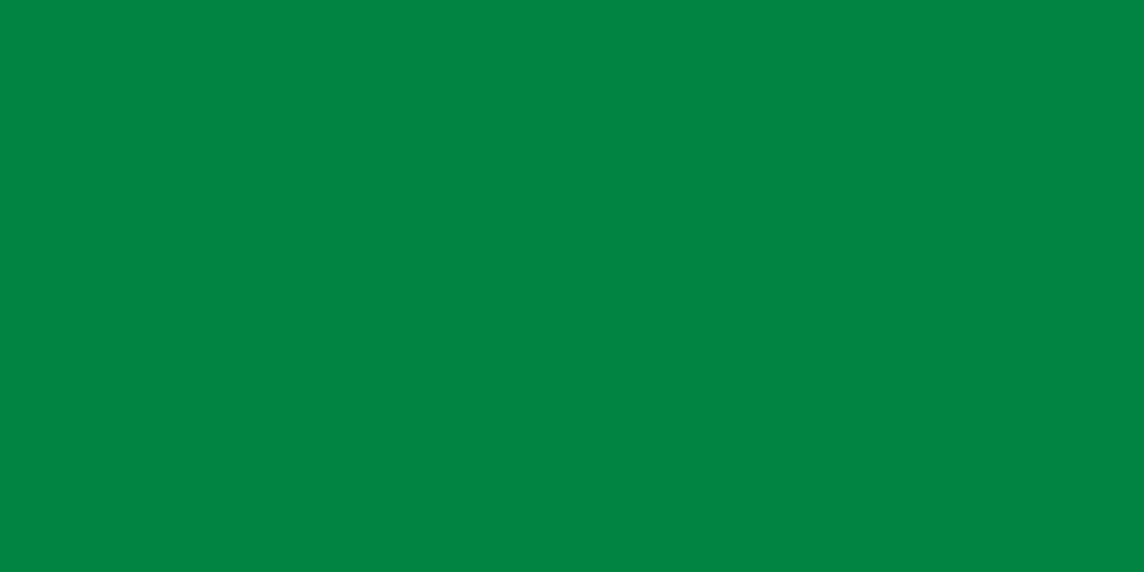 Flag of Libya (1977–2011).svg.png