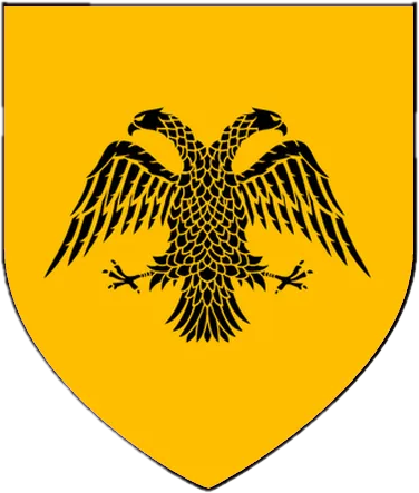 width=100%