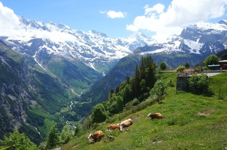 스위스의 풍경.jpg