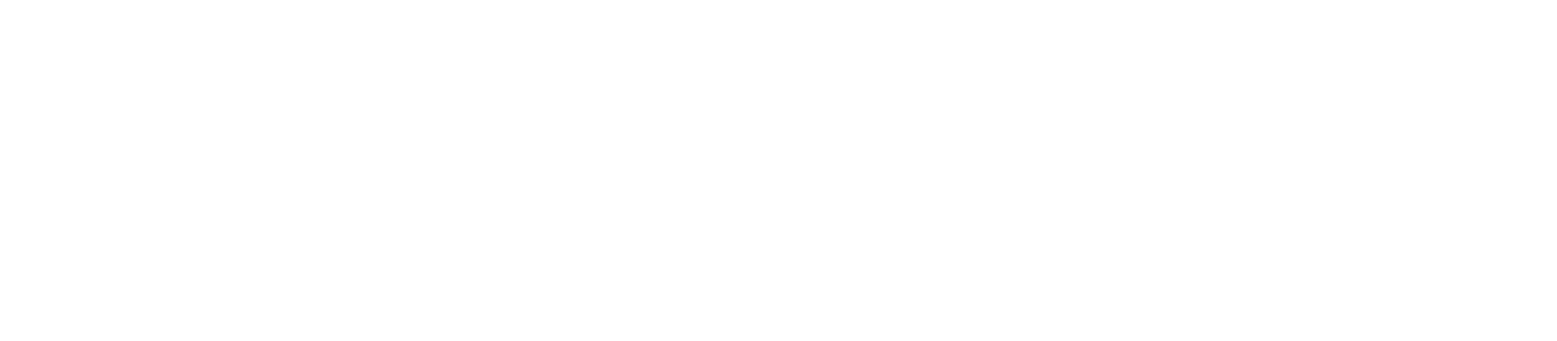 대한진보당 로고2.png