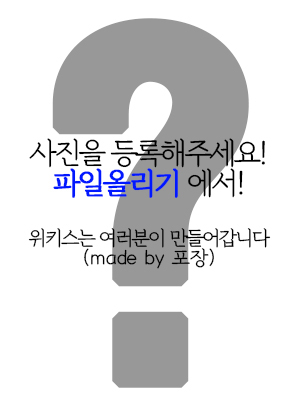 없음.jpg