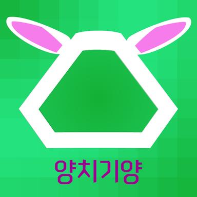 양치기양.jpg