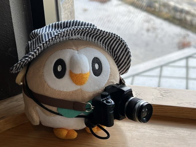 자유종합소통방 총괄 운영자.jpeg