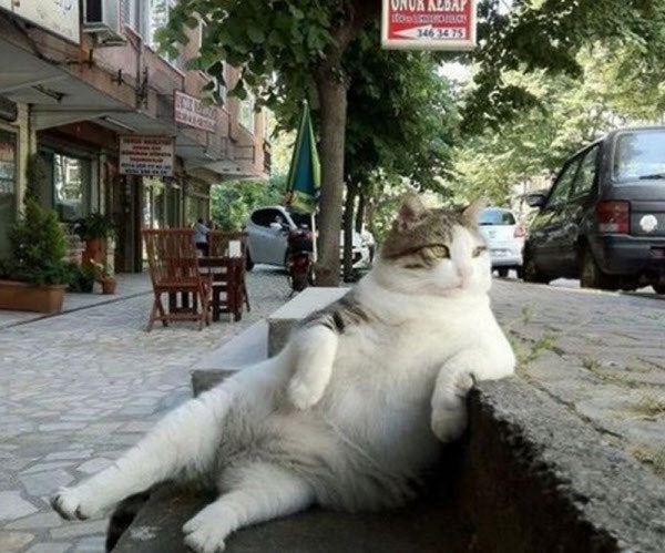 톰 빌리.jpg