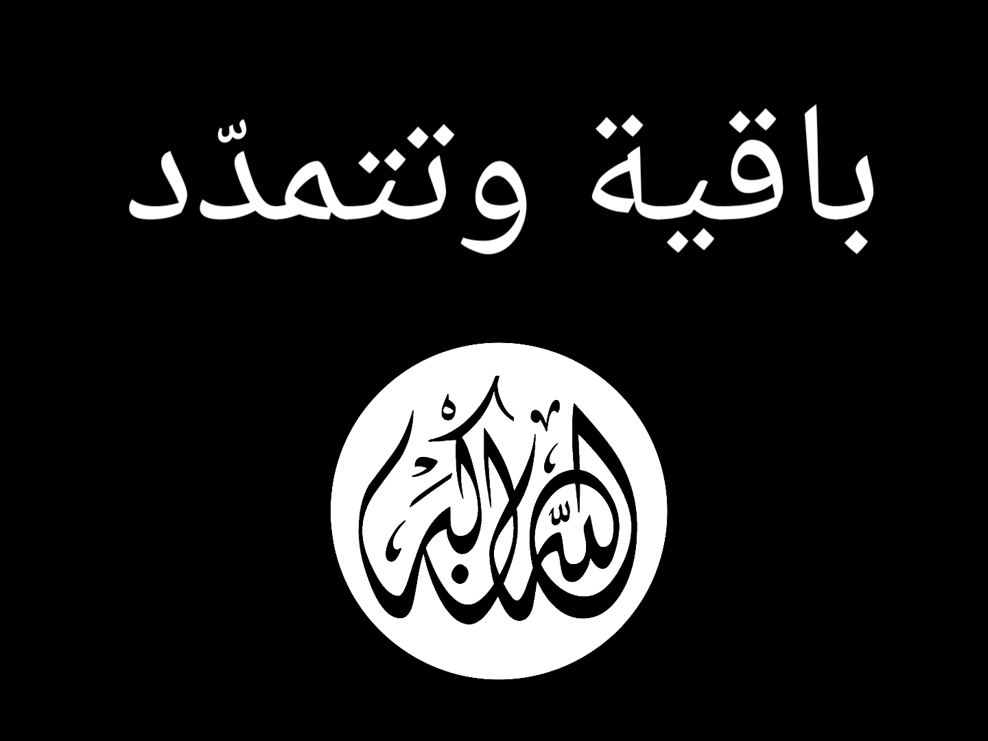아랍 레반트 이슬람 제국 국기.png
