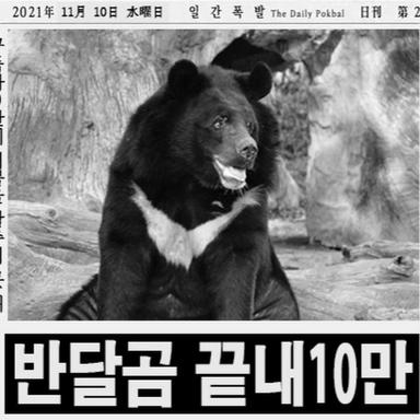 반달곰 동무.jpg