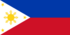 필리핀 국기.png