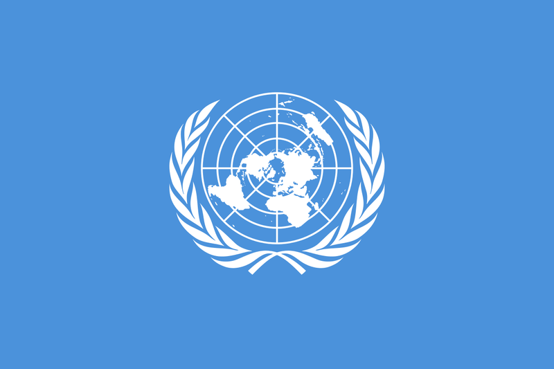 파일:Flag of UN.png