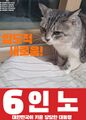 2025년 6월 10일 (화) 16:01 판의 섬네일