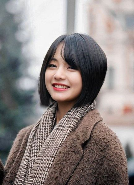 파일:안드레센 범(1).jpg