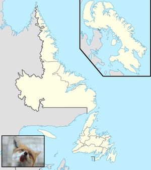 Timmy Vinland map1.jpg