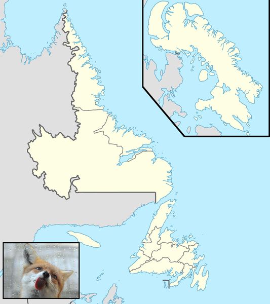 파일:Timmy Vinland map1.jpg
