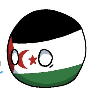 사하라볼.jpg