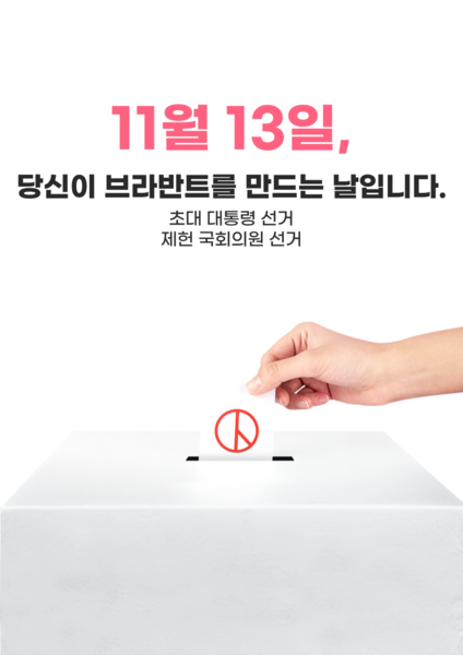 파일:브라반트 11월 선거.png