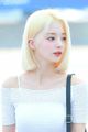 2020년 1월 30일 (목) 19:50 판의 섬네일