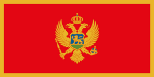 Flag of Montenegro.svg.png