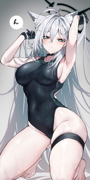 카메레르333.jpg