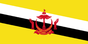 브루나이 국기.png