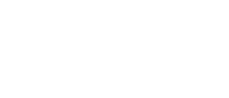 파일:신진당 로고 하얀색.png