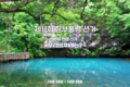 2024년 10월 30일 (수) 04:21 판의 섬네일