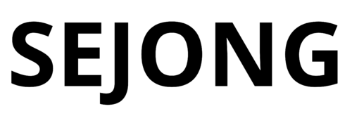 세종.png