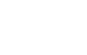 AJPlogowhite.png