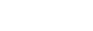 신민당 흰색 로고.png