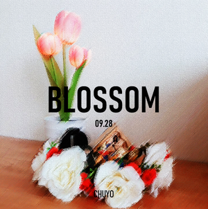 BLOSSOM D.png