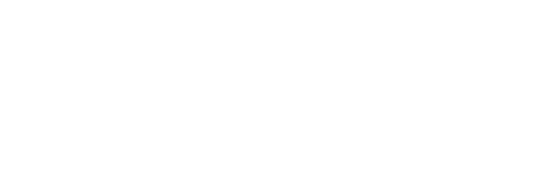 파일:국민대통합당 흰색.png