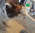 위키스 씨발아 왜 렉걸리고 지랄인데.gif