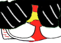 바레인(독일패밀리).png