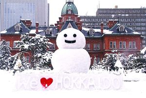 Sapporo panoramic view(Snow Festival 1).jpg