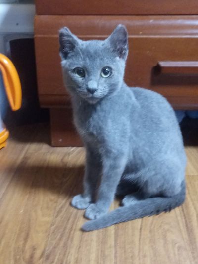 복덩이 사진(1).jpeg