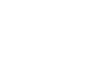 호주 민주당 로고1.png