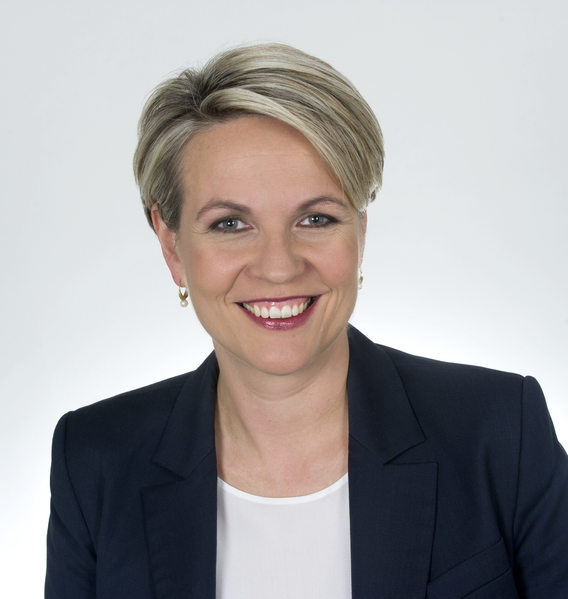파일:Tanyaplibersek.png