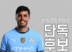 베르니아 버드스트라이킹 당선.png