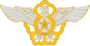 Rokaf logo.png