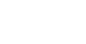 재건공산당 하얀색.png