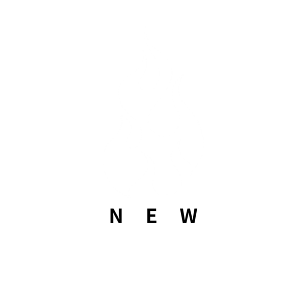 파일:신반연로고3.png