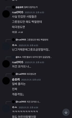 찐태극 일베 취급.jpg
