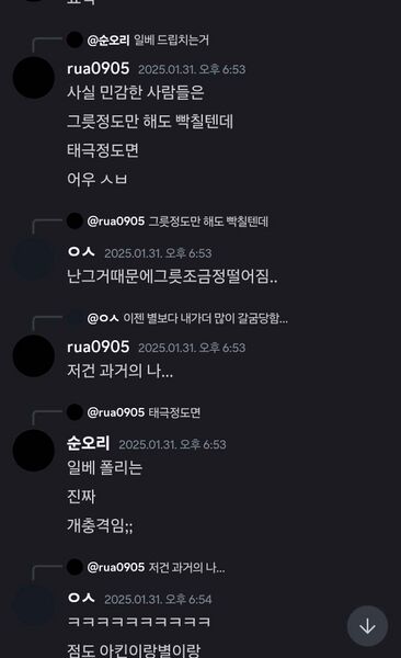 파일:찐태극 일베 취급.jpg