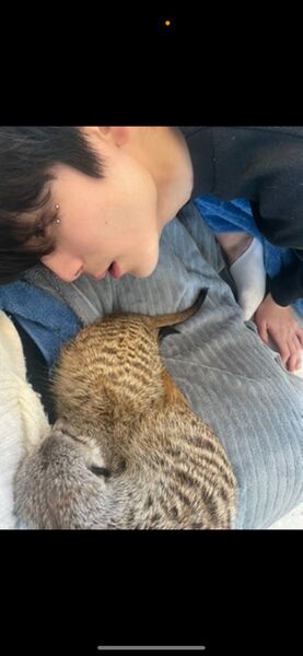 파일:01.jpg